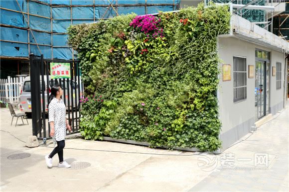 用绿植装饰建筑 宁波首个种植毯垂直绿化墙正式亮相