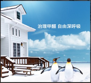 公司介绍