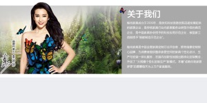 公司介绍