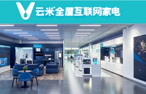 公司介绍